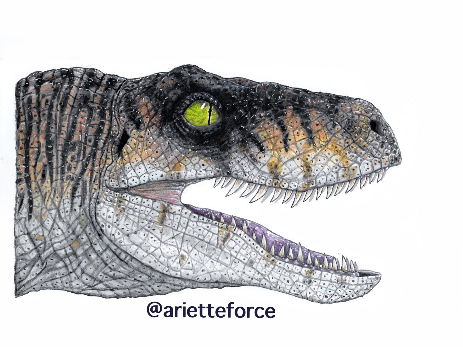 velociraptor tiger