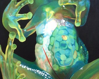 Glass Frog Anatomy Print: Central & South American Wildlife