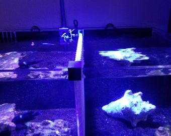 Divisores de tanque de caja de huevos de bricolaje