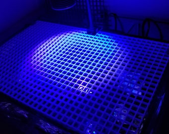 Soportes para tapa de labio de cubierta de caja de huevos de acuario sin borde de bricolaje