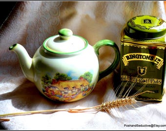 Large 2 1/2 pt thatched English cottage garden teapot, lid picturesque theme summer afternoon tea lover gift countryside pattern china chic