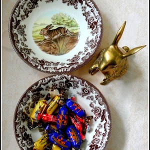 Spode Woodland series deep 2 pasta soup bowls brown transferware WILD HARE pattern display cabinet china festive Easter table floral wreath