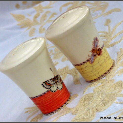 Condiment cruet set Wedgwood Sarah's Garden English Cottage countryside sweet series, bone china salt & pepper duo, spice shakers cute pair