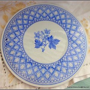 May include: A white ceramic plate with a blue and white floral design. The plate has a decorative border with a repeating pattern of blue flowers and leaves.