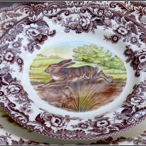 Spode Woodland series 11" dinner plate, brown transferware, WILD HARE pattern display cabinet china feminine iconic floral border wreath