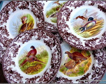 Spode Woodland series six dinner plates custom order, brown English transferware, display cabinet china feminine iconic floral border wreath