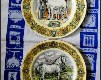 Reiter Vintage Gedenkgrau Shire Zugpferd BARREL Sammler Vitrine Limited Edition Platten Paar Jenny HINCHCLIFFE Kunst