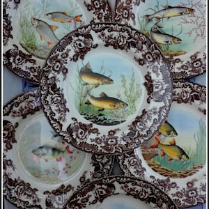 Puede incluir: Una colección de seis platos de cerámica con bordes florales marrones e ilustraciones centrales de varias especies de peces en entornos acuáticos. Cada plato muestra representaciones detalladas de peces nadando entre juncos y plantas acuáticas.