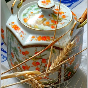 Puede incluir: Una tetera de porcelana blanca de forma hexagonal, con motivos florales naranjas e ilustraciones de pájaros verdes. La tetera tiene una tapa con borde dorado y un asa curva envuelta en mimbre marrón claro. Espigas de trigo secas se sitúan delante.