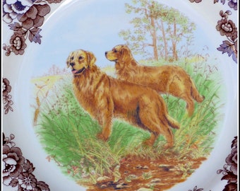 Labrador Spode Woodland Dog Collection Microwave Safe Plates Spode