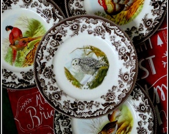 May include: A collection of vintage decorative plates featuring bird illustrations. Each plate has a white center with a detailed image of a bird, surrounded by a brown floral border. The plates are arranged on a red background with white text and snowflake designs.