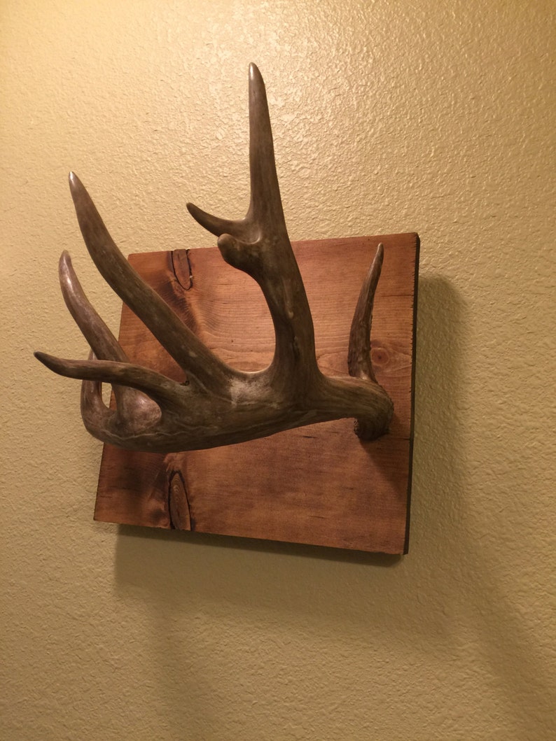 Antler Jewelry Holder