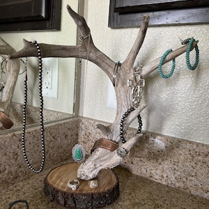 Unique Antler Jewelry Holders Bild 1