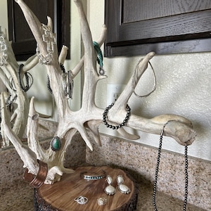 Unique Antler Jewelry Holders Bild 4