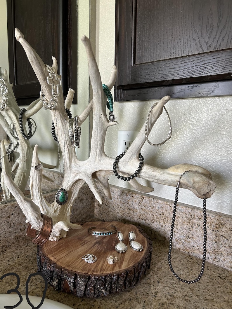 Unique Antler Jewelry Holders Bild 4