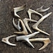 see more listings in the Antler Jewelry Pieces  section