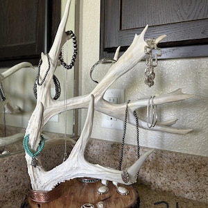 Unique Antler Jewelry Holders Bild 5
