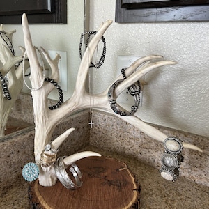 Unique Antler Jewelry Holders (Free Shipping)