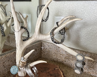 Unique Antler Jewelry Holders (Free Shipping)