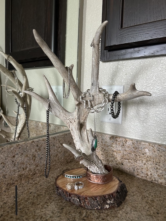 Unique Antler Jewelry Holders