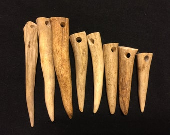 Five Antler Tines  (Made to order)