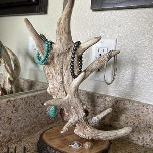 Unique Antler Jewelry Holders Bild 3