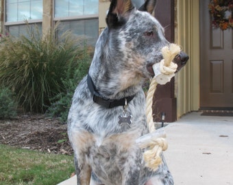 Antler & Rope Dog Toy