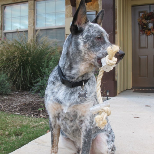 Antler & Rope Dog Toy