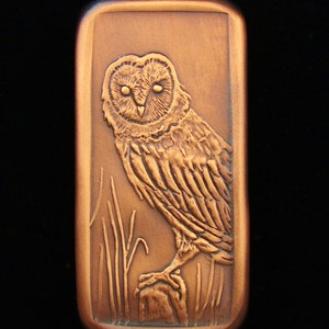 May include: A copper-colored rectangular plaque with a detailed relief carving of an owl perched on a branch. The owl has large, round eyes and a textured, feathery body.