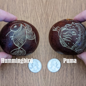 Hummingbird/Puma Hand Carved Egg Shaped Shipibo Rattle from Peru - Choose from 4 Rattles - Shaker, Maraca, Shamanic Instruments, Medicine