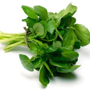 Healing Juices For Treating Anxiety