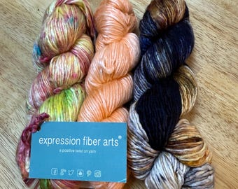 BOGO - Expression Fiber Arts Superwash Merino Silk Pearlescent Worsted - CT