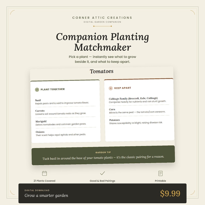 May include: A digital companion planting guide titled Companion Planting Matchmaker by Corner Attic Creations. It displays tomato plant pairings, listing basil, carrots, marigolds, and onions to plant together, and cabbage, corn, and potatoes to keep apart.