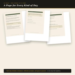 May include: Three cream-colored journal pages with dark green headers and black text. The pages feature the titles "You Picked This Up for a Reason," "Daily Reflection," and "To Look Back," with structured prompts, lines for writing, and scripture references.