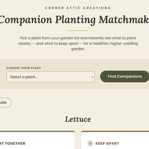 May include: A digital interface titled Corner Attic Creations Companion Planting Matchmaker. It features a dropdown menu to select a plant, a Find Companions button, a Print This Guide button, and a section for Lettuce with Plant Together and Keep Apart categories.