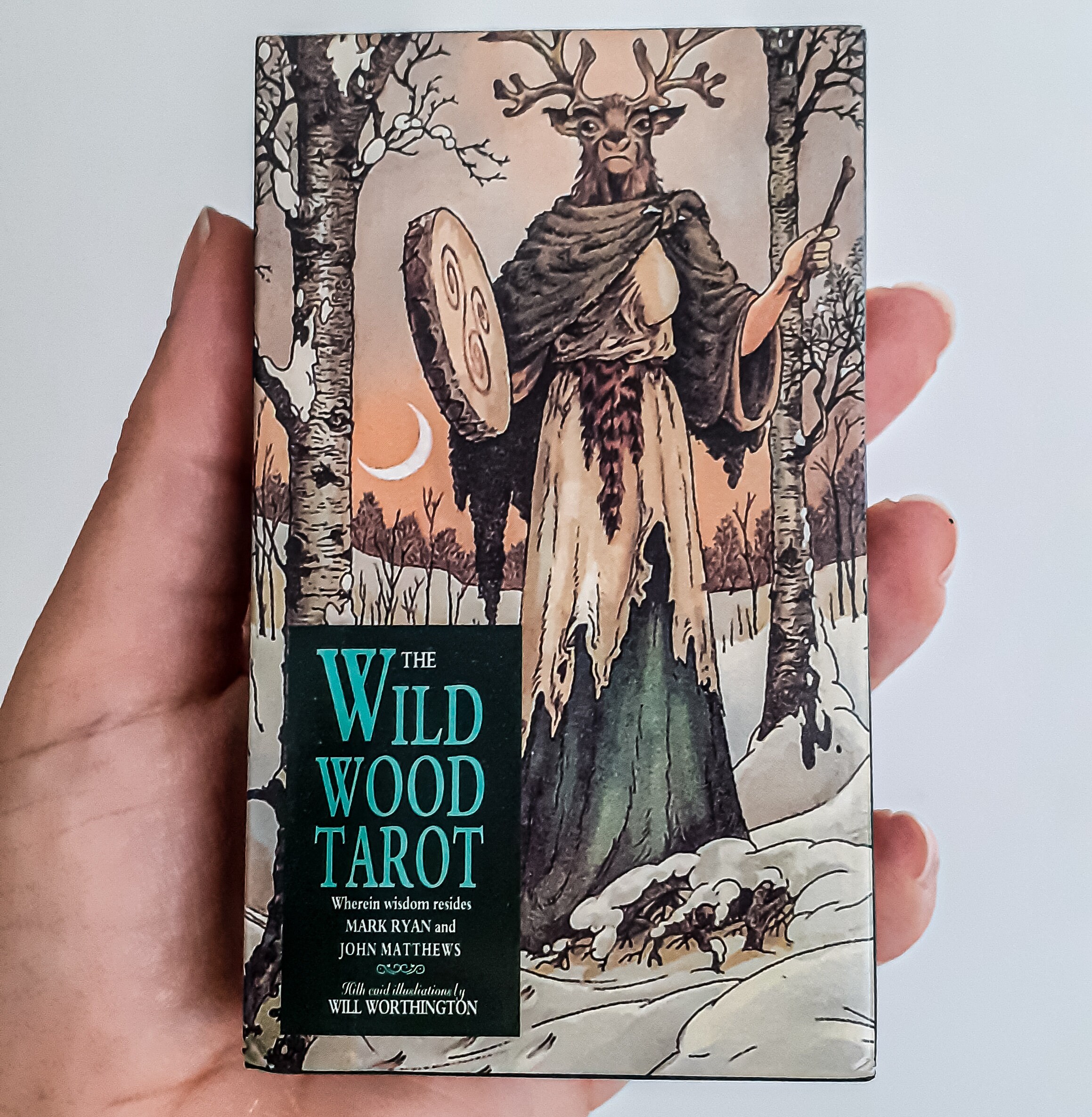 Tarot Wildwood Bois Sauvage