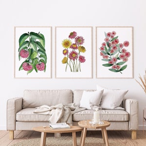 Rote Aquarell schöne Blumendrucke Set mit 3 Lilly Pilly Gänseblümchen Flechtwerk Australian Native Garden Thema Dekor in A5 A4 A3 A2 Größen