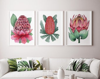 Australian Native Floral Protea Waratah Firewood Banksia Art Prints Botanical Wall Decor A5 A4 A3 A2 Floral Interior Nature Lover