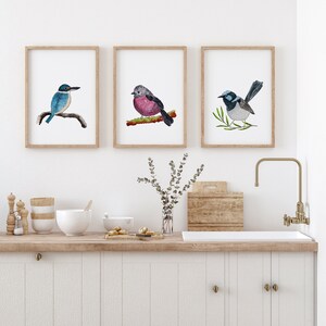 Bird Art Set of 3 Prints Kingfisher Pink Robin Superb Fairywren Australian Native Bird Print Cute Colourful Watercolour Birds