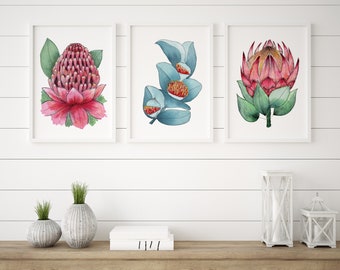 Waratah Protea Eucalyptus Floral Art Prints A5 A4 A3 A2 Wall Decor From Original Watercolour and Pen Paintings Flower Wall Art Prints