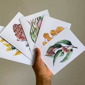 Flower Cards Watercolour Greeting Card Pack Australian native floral wattle gum protea from original paintings 4x6" blank cards