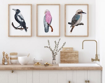 May include: Three framed bird prints. The artwork features a black and white magpie, a pink and gray galah, and a blue and brown kookaburra, each perched on a branch. The prints are displayed above a kitchen counter with a white sink and wooden accents.