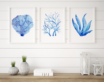 Conjunto de 3 impresiones en acuarela de estilo Hamptons con corales costeros azules y algas marinas, impresiones de pared de pinturas originales, tamaño A5, A4, A3 y A2