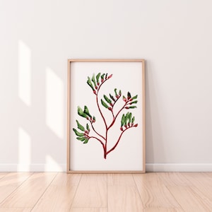 Kangaroo Paw Australian Native Floral Wall Art Print Red Floral Theme Home Decoration A5 A4 A3 A2