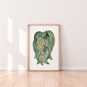 Tasmanian Blue Gum Australian Native Floral Art Print A4 A3 A2 Flower Wall Hangings Bedroom Living Room Lounge Garden Theme