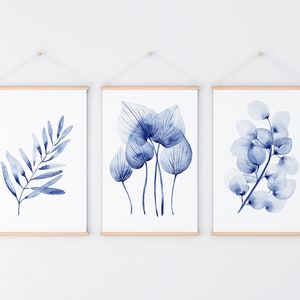 Blue Wall Print Olive Homalomena Gum Drop Set of 3 Botanical Watercolour Hamptons Art Decor A5 A4 A3 A2 Prints