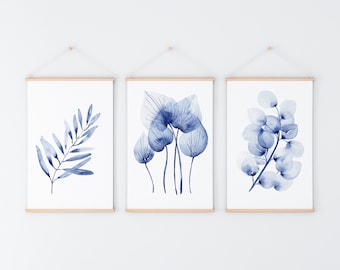 Blue Wall Print Olive Homalomena Gum Drop Set of 3 Botanical Watercolour Hamptons Art Decor A5 A4 A3 A2 Prints