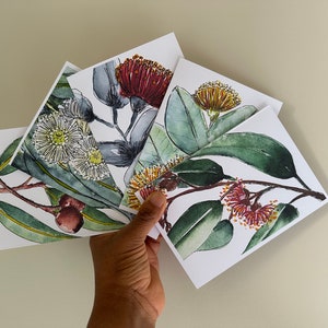 Aussie Floral Cards from Original Paintings Australian Native Eucalyptus Flowers 4x6" Blank Cards With Envelopes