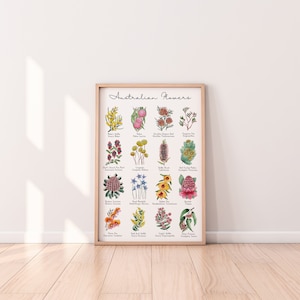 Australische inheemse bloemenkaart botanische display tweede set - prachtige bloemenprints in de formaten A5, A4, A3 en A2