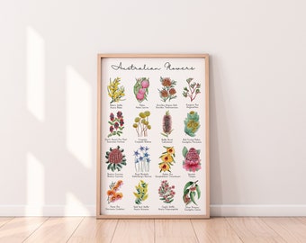 May include: A poster with illustrations of Australian flowers. The poster is titled "Australian Flowers" and features 20 different flowers with their common and scientific names.